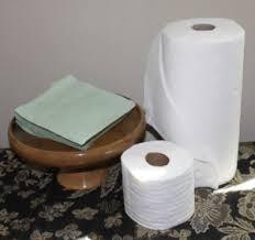 BRAVO NECESSITIES 100 CT 2-PLY ROLL TOWEL, WHITE, 30/CA, 11" X 8.8"